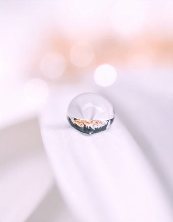wedding rings on a white flower petals with bokehの素材