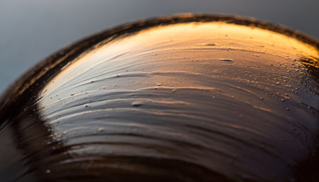 close up of water drops on a black stone in the sunlight.の素材