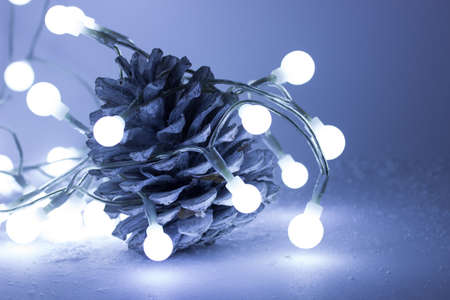 Pine cone concept