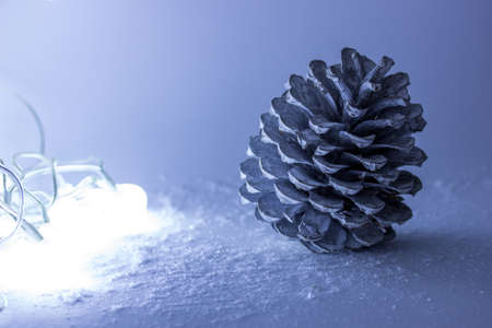 Pine cone conceptの写真素材