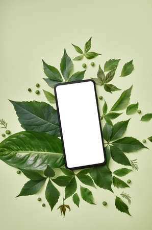 Mobile phone screen template ads with green leaves frame vertical background.の写真素材