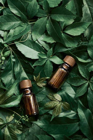 Bottles with oil serum cosmetic product on green leaves vertical background.