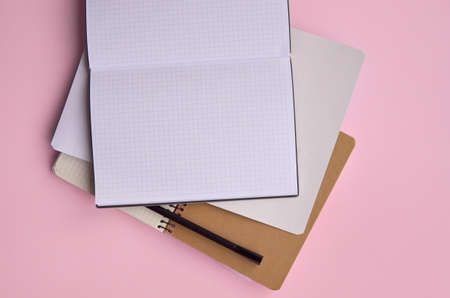 Open notebooks and pen on pastel pink background, trendy vertical flatlay.