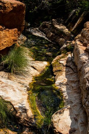 A mountain stream in the Magaliesberg Mountain Rangeの写真素材