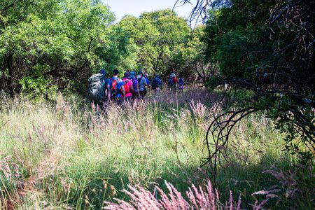 Hikers setting off on a hikeの写真素材