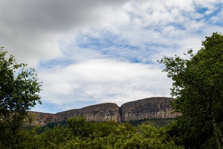 A view of the Magaliesberg Mountain Range through the forestの写真素材