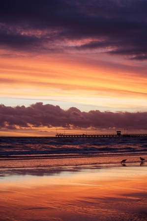Beach sunsetの写真素材