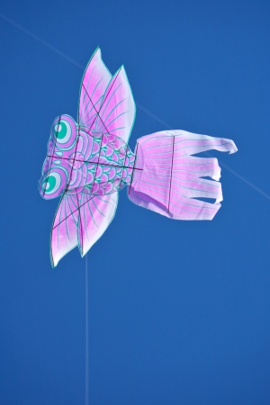 A flying kite in the skyの写真素材