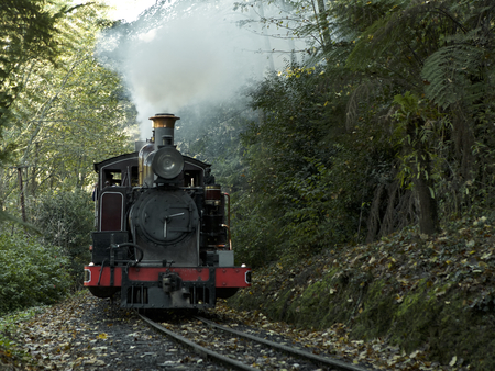 Puffing Billy train ride through the Dandenong Ranges near Melbourne, AustraliaMELBOURNE, AUSTRALIA - Puffing Billy train ride through the Dandenong Ranges very historic train tripのeditorial素材