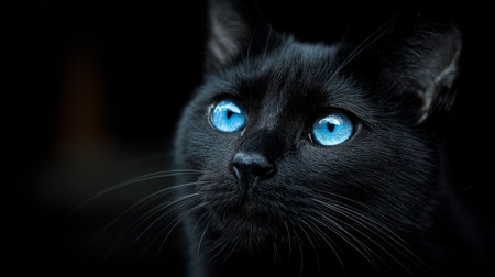 Portrait of a black cat with piercing glowing blue eyes, dark blurred background, high contrast and sharp detailsの素材