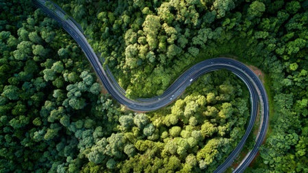 Aerial image of a green highway surrounded by forest, symbolizing carbon offset, sustainability, and renewable growthの素材