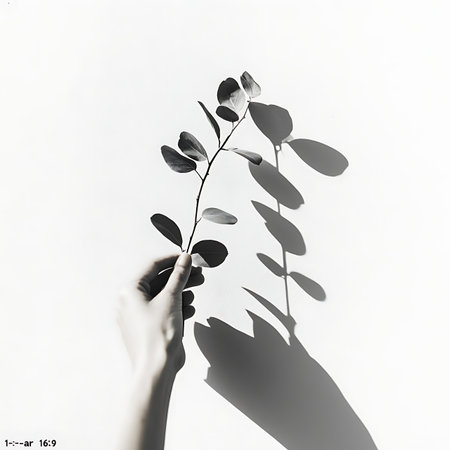 Delicate hand holding green leaf minimalist setting nature photography light and shadow playの素材