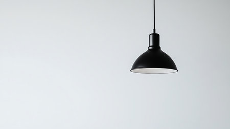 A sleek black pendant light adds a touch of modern elegance to minimalist interiors.の素材
