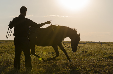 a Horse Submitting to a Manの写真素材