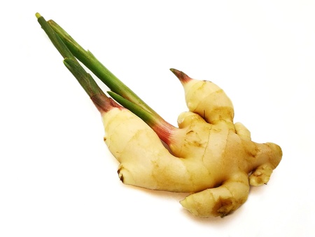 Fresh young ginger rhizome (or root) with stems and shoots on white background. Scientific name -...