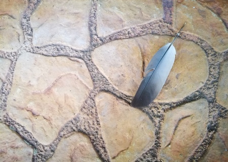 Feather on brown stone texture floor. Copy space for put text is on the left. Use as visual content or montage in concepts of loneliness, failing disappointment, rebirth, breath, life.の写真素材