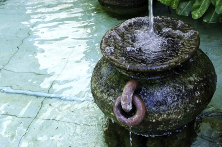 Bowl of water placed in a small pool of water.の写真素材