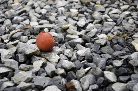 Fruit of the pieces with a rock background.の写真素材