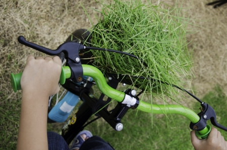 Grass clippings in the basket of the bicycle の写真素材