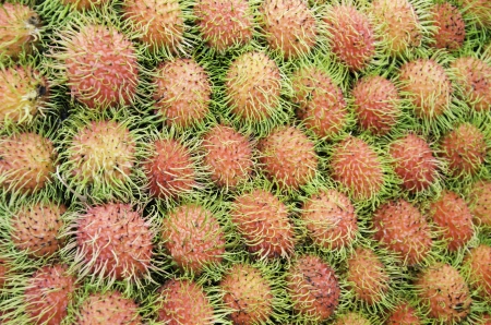 Sort the rambutan is stacked.の写真素材