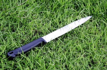 Knife with grass in the background 