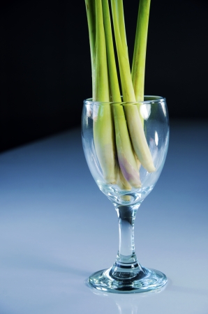 Vegetable in a glass of wine with a dark の写真素材