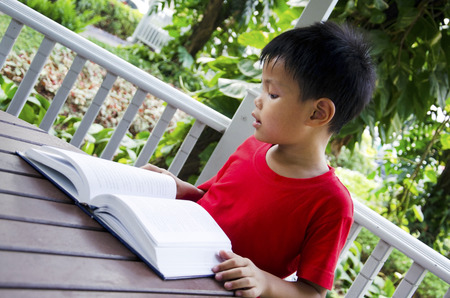 Children are reading a book in the park pavilion  