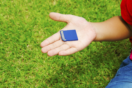 Memory cards are in the hands of a lawn as a backdrop.の写真素材