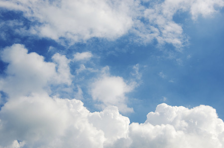 White clouds on the sky as a backdrop.