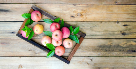 Organic apples in a frame on a wooden floor.の写真素材