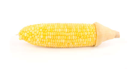 Yellow organic corn on a white background.の写真素材