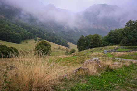 Aran Valley, forests, rivers, waterfalls, mountains