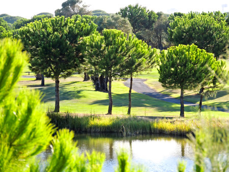 The golf course of El Rompido, Huelva. High quality photoの写真素材