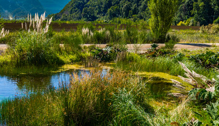 Trekking through Peulla, Chile, Andean Crossing. High quality photo