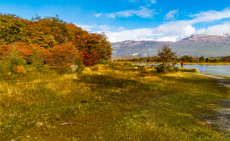 Tierra del Fuego National Park, Patagonia, Argentina. High quality photoの写真素材