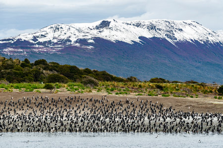 Sailing through the Beagle Channel, at the southern tip of South America, Argentina and Chile. High quality photoの写真素材