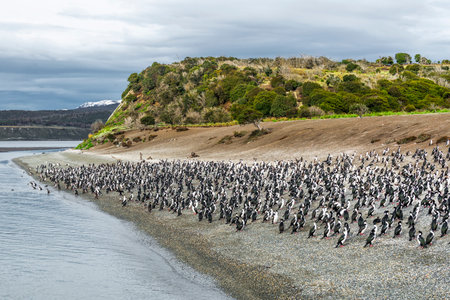 Sailing through the Beagle Channel, at the southern tip of South America, Argentina and Chile. High quality photoの写真素材