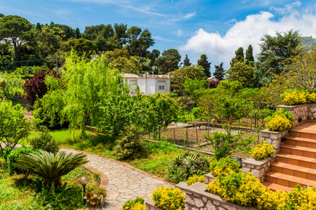 The wonderful island of Capri, Italy. High quality photoの写真素材
