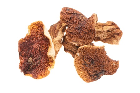 Dried mushrooms isolated on white background