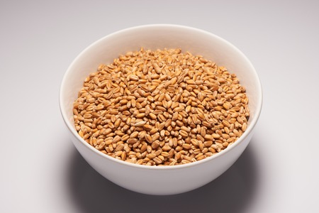 Oats in white ceramic bowl on white backgroundの写真素材