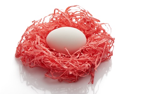 Single white chicken egg in pink paper nest isolated on white backgroundの写真素材