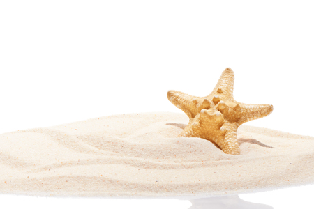 Starfish on sand. Summer beach backgroundの写真素材