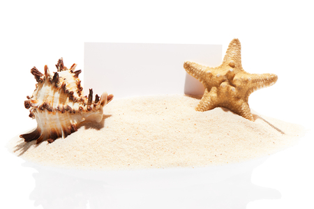 Blank white visit card with starfish and sea shell on pile of beach sand, isolated on white backgroundの写真素材