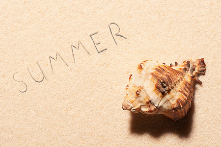 Seashell and summer lettering drawn on sand. Summer beach background. View from aboveの写真素材