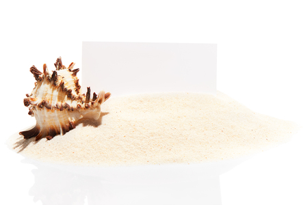 Blank white visit card with sea shell on pile of beach sand, isolated on white backgroundの写真素材