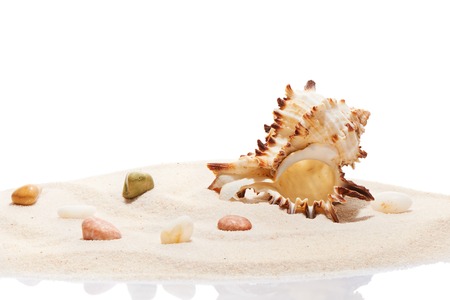 Seashell and sea stones on pile of beach sand, isolated on white backgroundの写真素材
