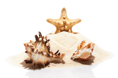Starfish and couple of sea shells on pile of beach sand, isolated on white background. Beach wedding conceptの写真素材