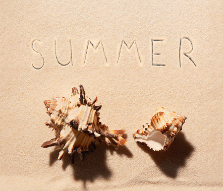 Two sea shells and summer lettering drawn on sand. Summer beach background. View from aboveの写真素材