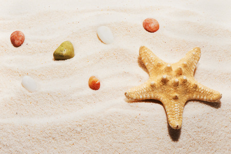 Starfish and sea stones on sand. Summer beach backgroundの写真素材