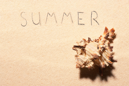 Seashell and summer lettering drawn on sand. Summer beach background. View from aboveの写真素材